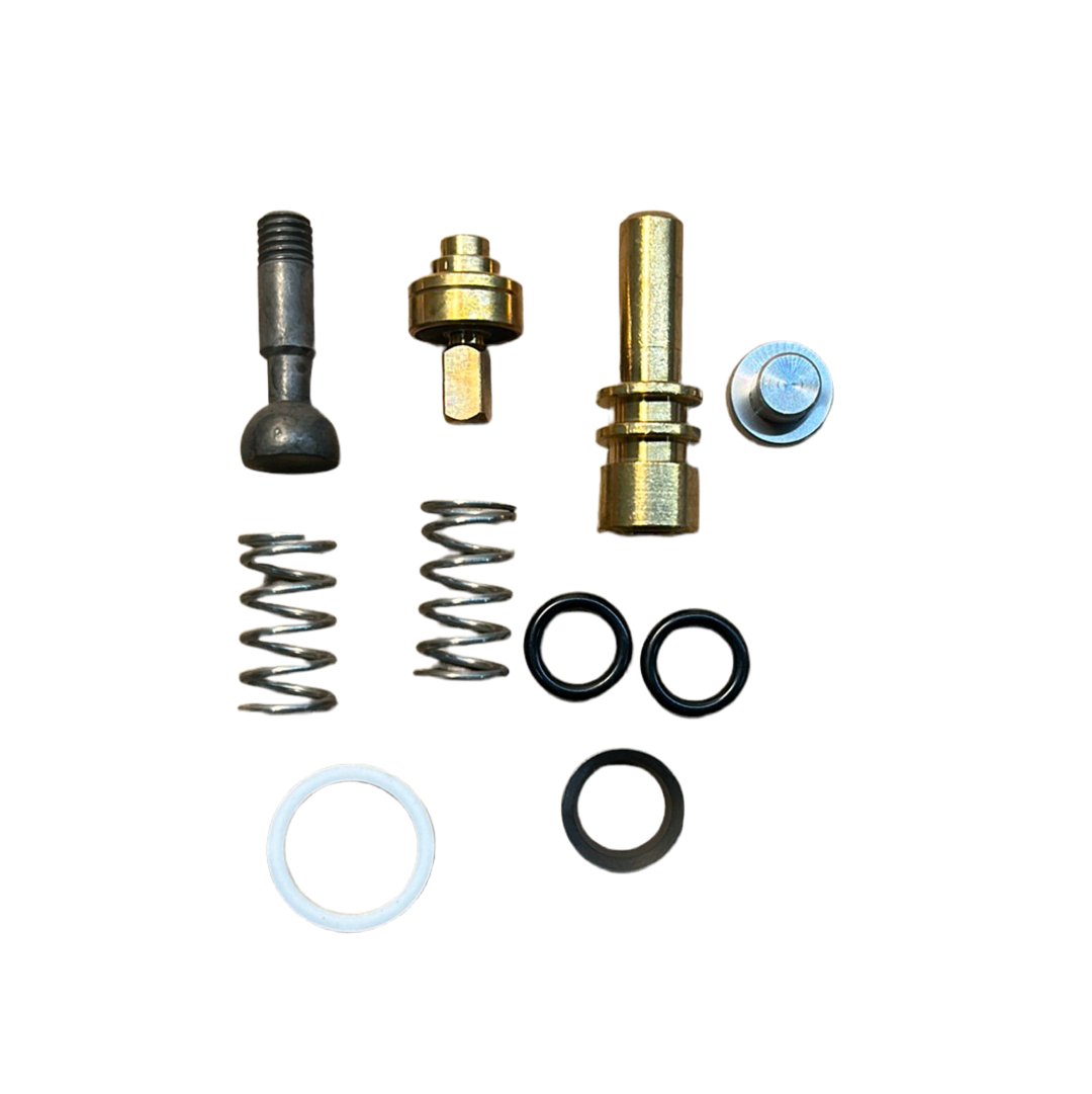Steam Valve Rebuild Kit, GS3