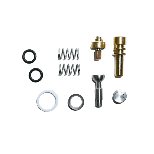 GS3 Valve Rebuild Kit