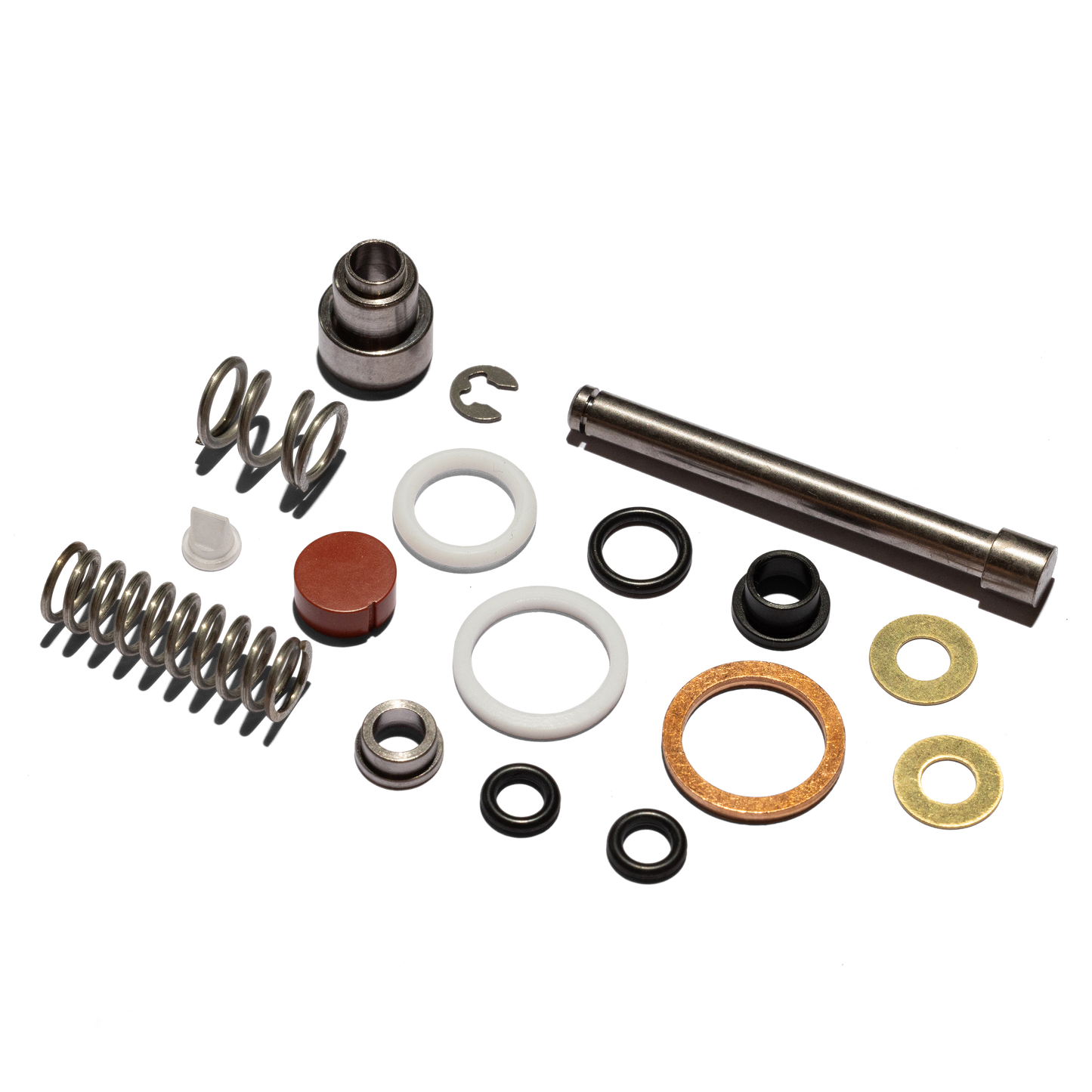 Linea Micra Valve Rebuild Kit
