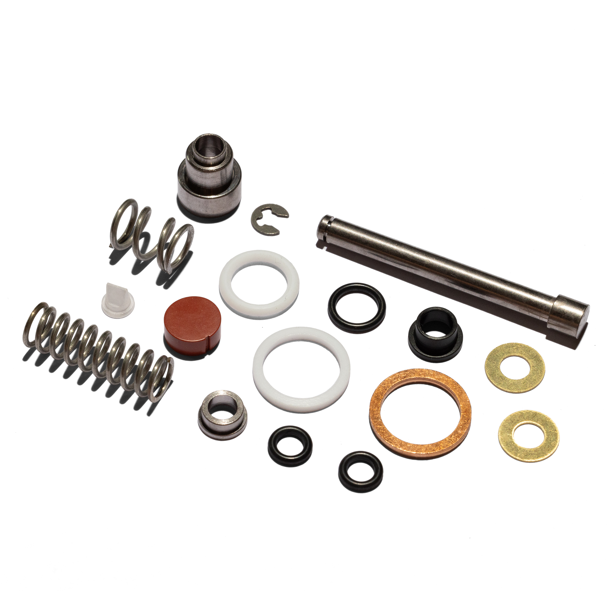 Linea Micra Valve Rebuild Kit