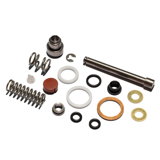 Linea Micra Valve Rebuild Kit