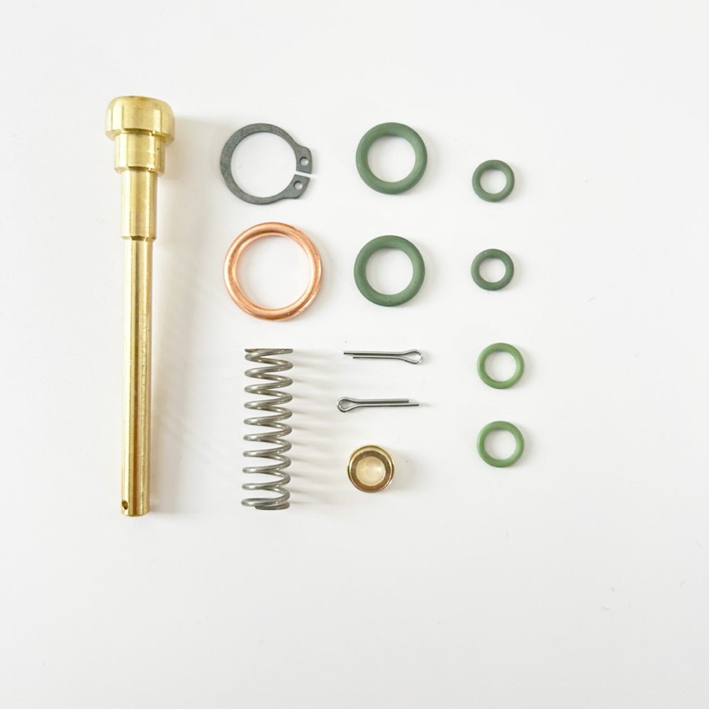 Linea steam valve rebuild  kit